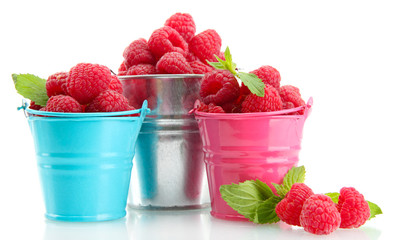 beautiful raspberries in buckets isolated on white