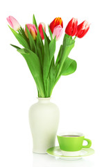 Beautiful tulips in bucket with cup of tea isolated on white