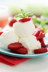 Vanilla ice cream