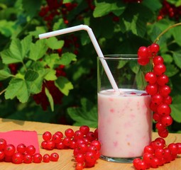 johannisbeershake