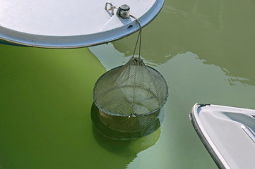 Fishing in street canals island Burano, Italy