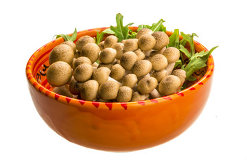 Japan mushroom Shimeji