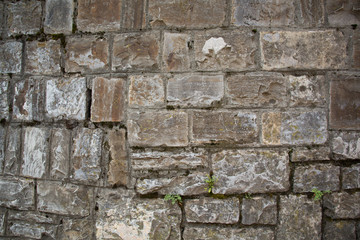 Natural Stone Wall (Texture)