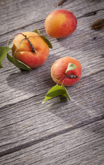 apricot on old wooden plank 