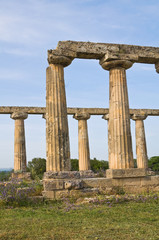Fototapeta premium Tavole Palatine. Metaponto. Basilicata. Italy.