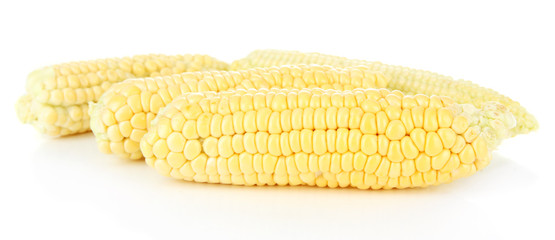 Fresh corn, isolated on white