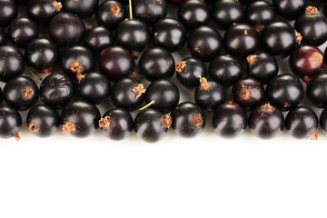 Fresh black currant isolated on white