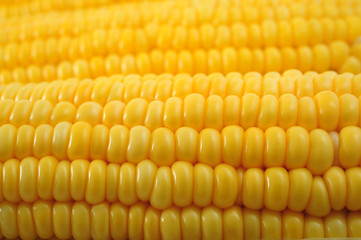 Corn