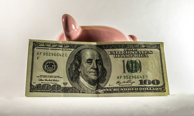 Piggy dollar one hundred