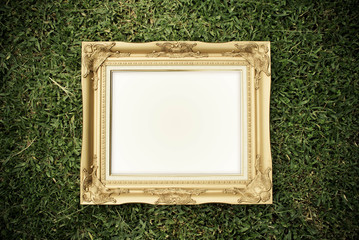 gold frame with gass background