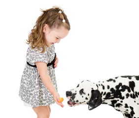 happy baby girl feeding dog isolated on white - obrazy, fototapety, plakaty