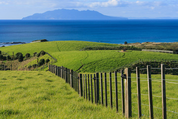 Obraz premium fence across meadows at Tawharanui park