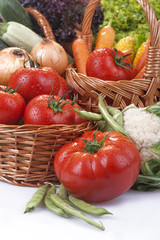 freshly picked organic vegetables