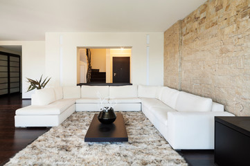 interior luxury apartment, beautiful living room.