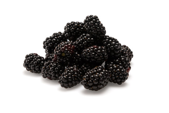 Brombeeren Schwarz