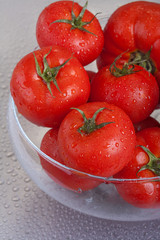 fresh organic tomato