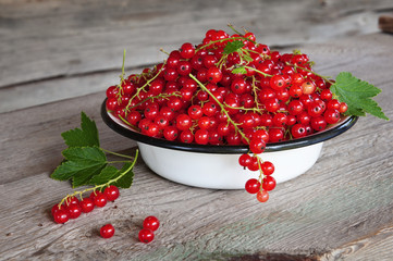 Красная смородина.