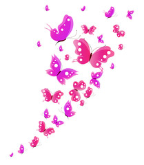 butterfly,butterflies vector