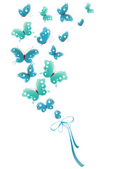 butterfly,butterflies