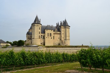 Fototapeta na wymiar Château de Saumur