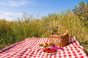 picnic in nature