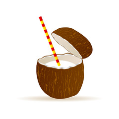 coconut vector illustration