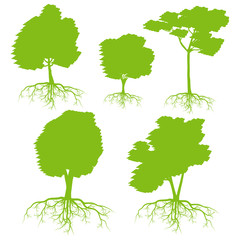 Tree with roots set background ecology vector