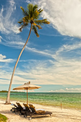 Beach Lounge Chairs under palm tree at the shore, Zanzibar, Tanz - obrazy, fototapety, plakaty