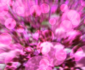 Pink Bokeh Background