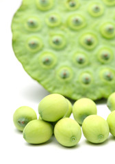 Fresh lotus seeds and pod
