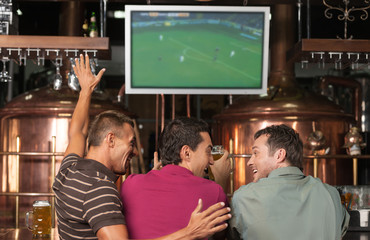 Happy soccer fans. Three happy soccer fans watching a game at th