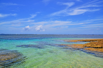 グラデーションの海