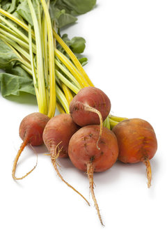 Fresh Yellow Beets