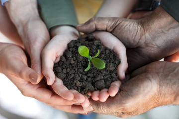 farmers family holding a fresh young plant