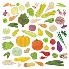 Various Vegetables Set