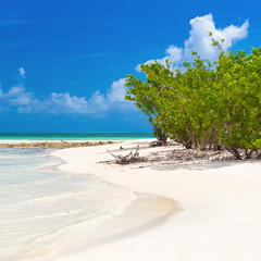 Virgin tropical beach in Cuba