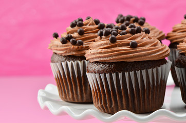 Gourmet chocolate iced cupcakes