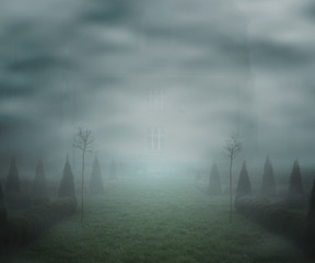 Mist Fantasy Backdrop