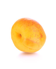 Fresh natural apricot isolated on white