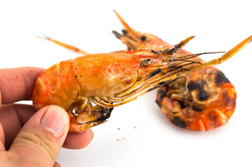 grilled prawns in hand  on white isolate