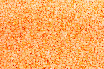 Background of Red split lentils