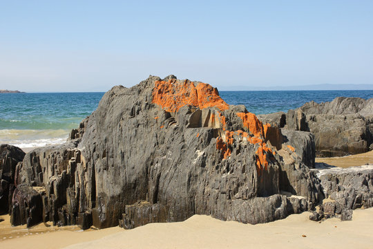 Spiky Beach, Küste bei Swansea, Tasmanien, Australien