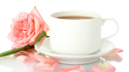 cup of tea with rose isolated on white