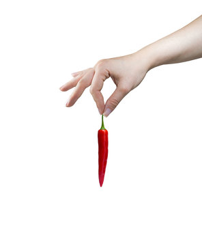 Hand mit Chilischote