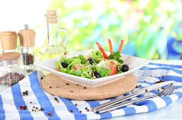 Light salad on plate on napkin on window background