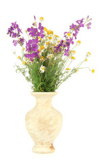 Bouquet of wild flowers in vase, isolated on white