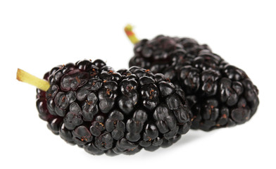 Ripe mulberries isolated on white