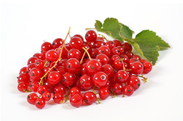 rote Johannisbeeren