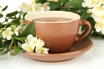 Cup of tea with jasmine, isolated on white