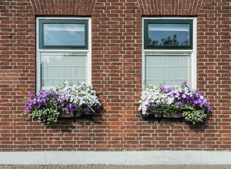 Fototapeta na wymiar Masonry brick wall with windows and flower boxes with flowering
